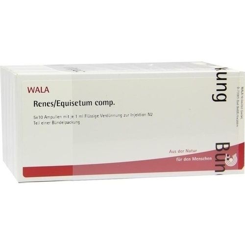 RENES/EQUISETUM COMP, 50X1 ML