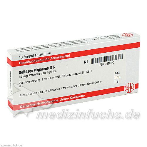 SOLIDAGO VIRGAUREA D 6 Ampullen, 10X1 ML