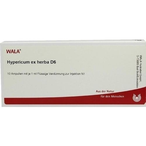HYPERICUM EX HERBA D 6, 10X1 ML