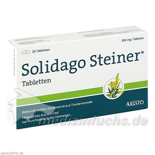 SOLIDAGO STEINER, 20 ST